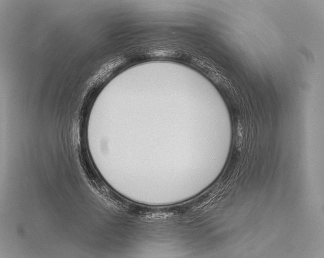 X0000115640734200912081104