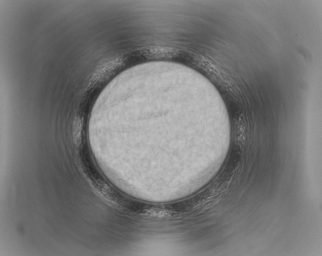 X0000115640742200912081104