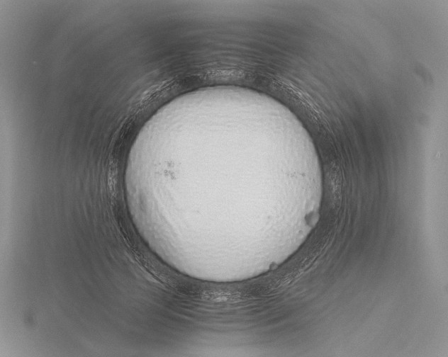 X0000115640745200912081104