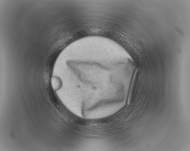 X0000115640746200912081104