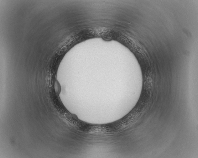 X0000115640750200912081104