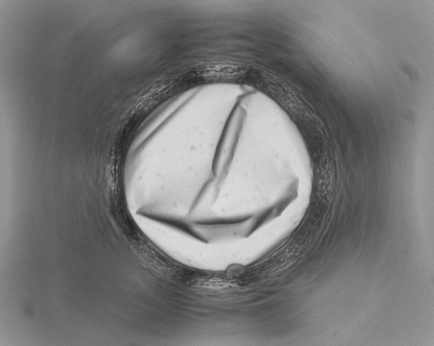 X0000115640755200912081104