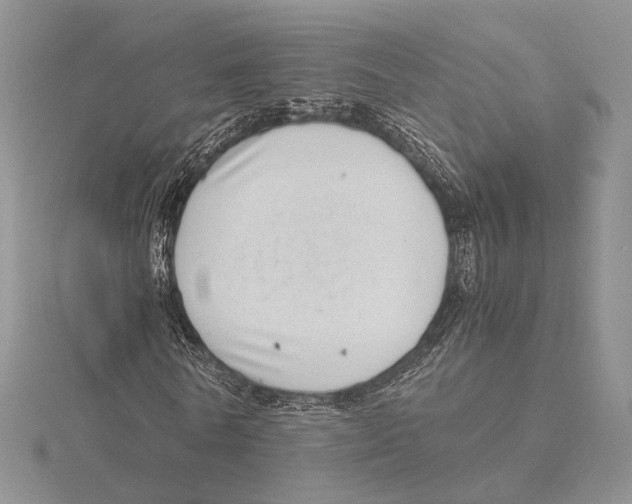 X0000115640770200912081104