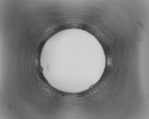 X0000115640771200912081103
