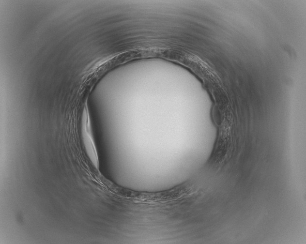 X0000115640773200912081103