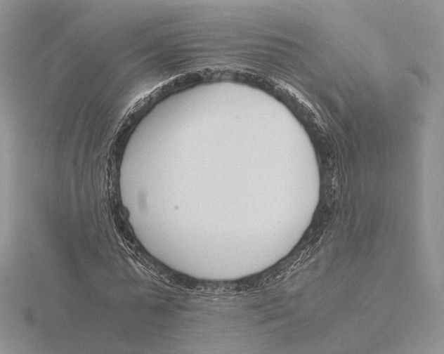 X0000115640775200912081103
