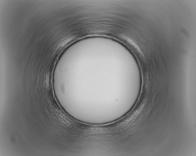 X0000115640777200912081103