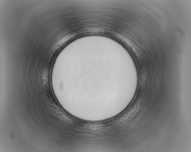 X0000115640778200912081103