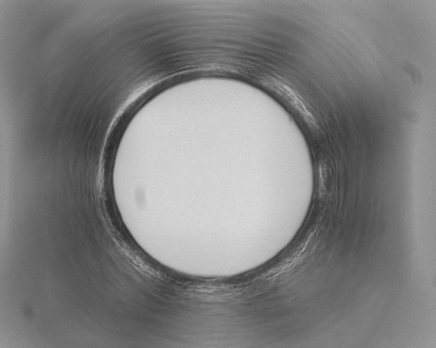 X0000115640780200912081103