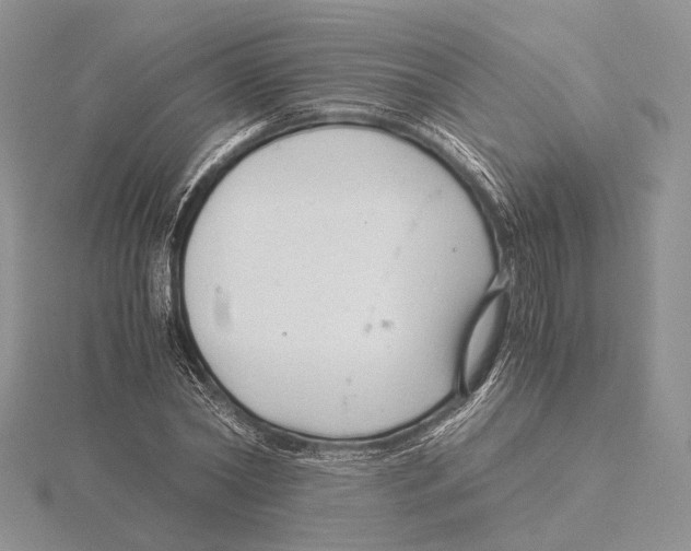 X0000115640782200912081103