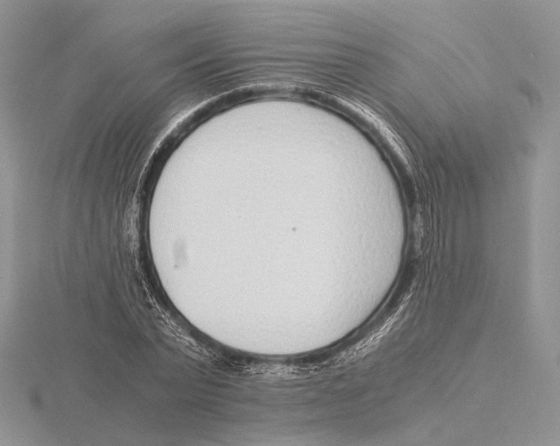 X0000115640783200912081103