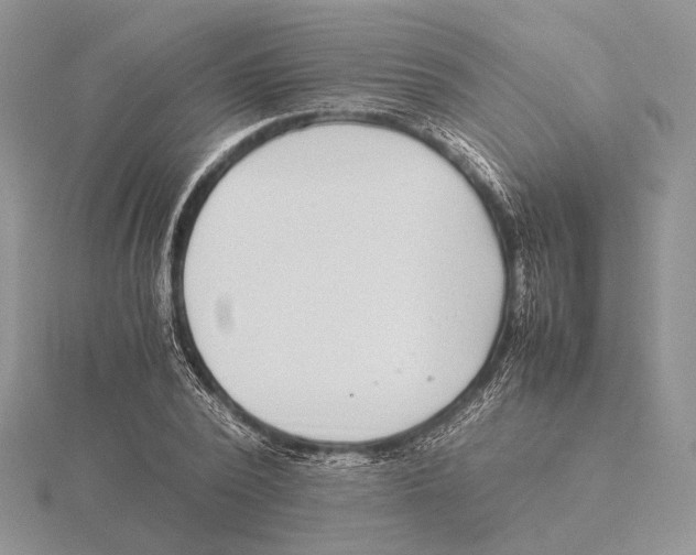 X0000115640784200912081103