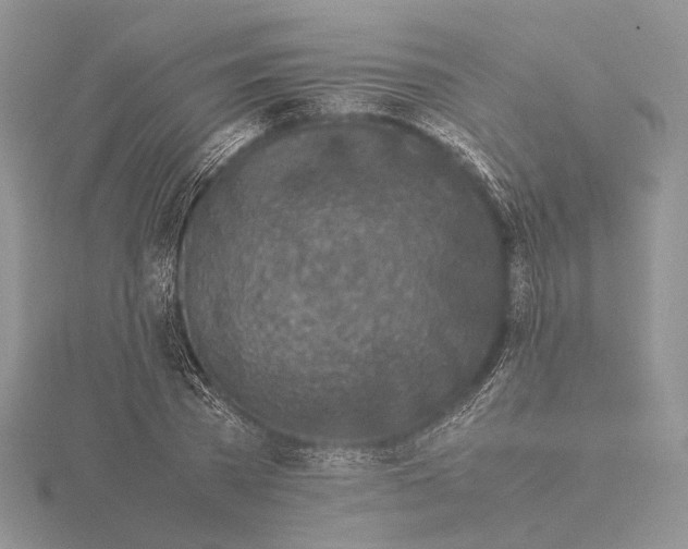 X0000115640785200912081103