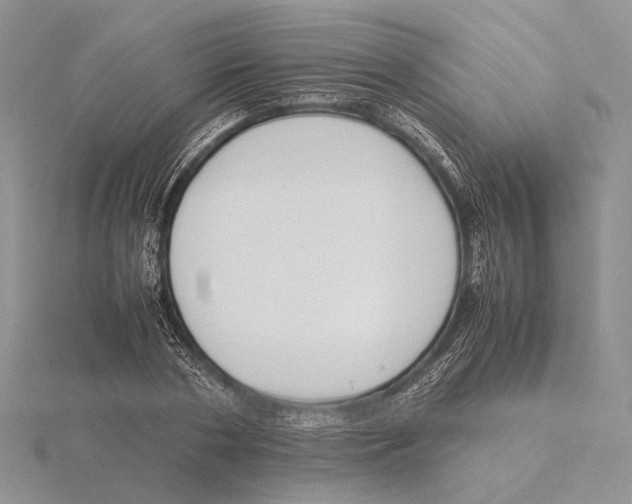 X0000115640786200912081103
