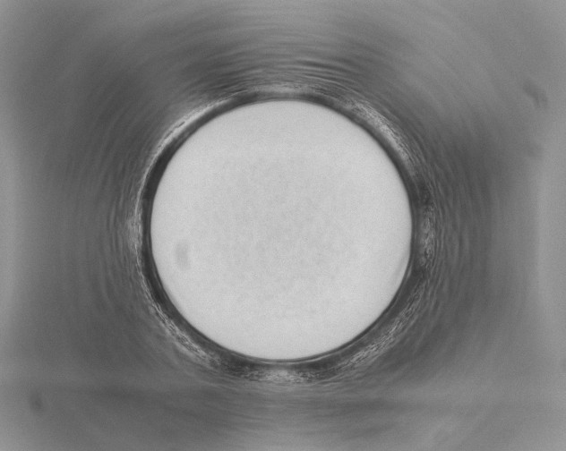 X0000115640787200912081103