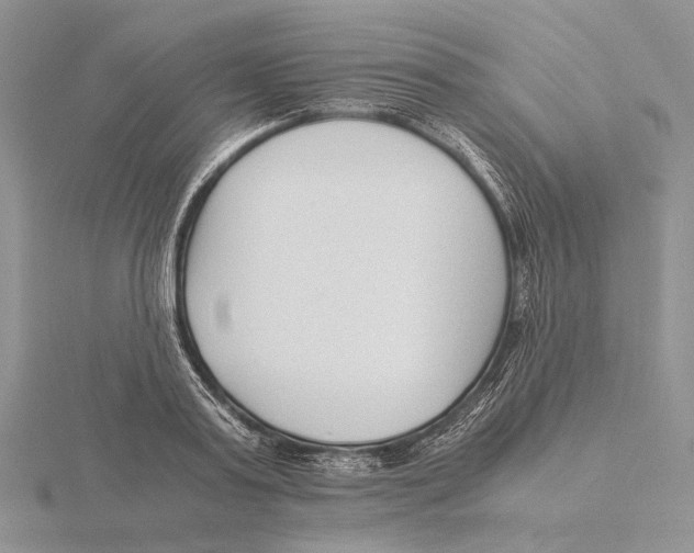 X0000115640795200912081103