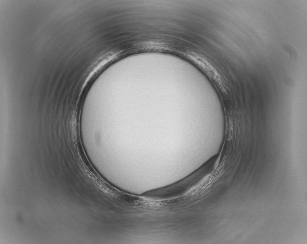 X0000115640798200912081103