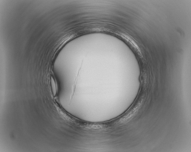 X0000115640801200912081103