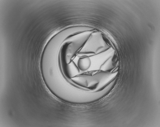 X0000115640805200912081103