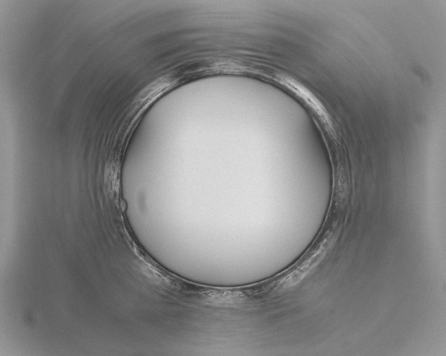 X0000115640809200912081103