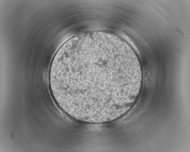 X0000115640810200912081103