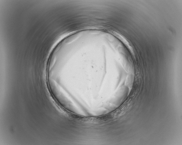 X0000115640811200912081103