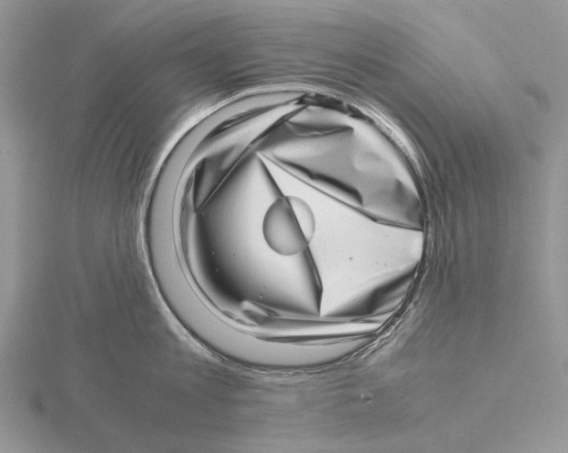 X0000115640813200912081103