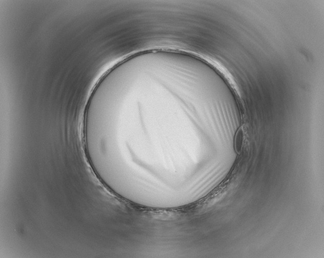 X0000115640815200912081103