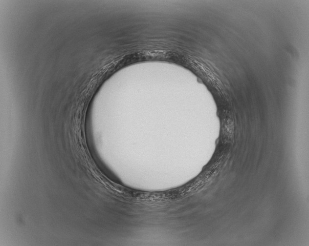 X0000115640817200912081102