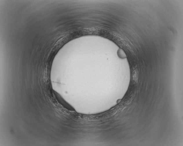 X0000115640819200912081102