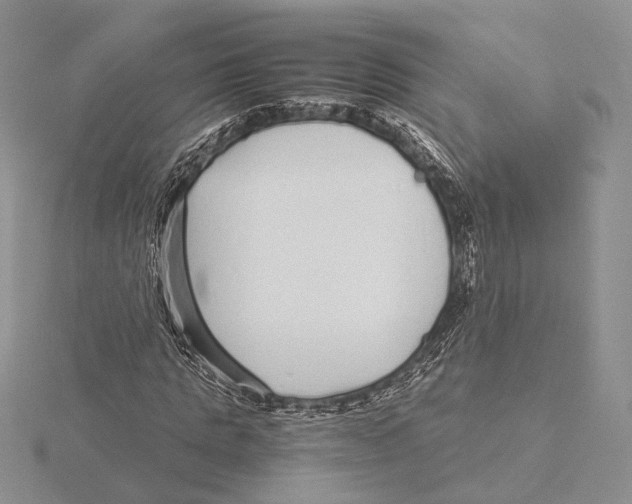 X0000115640821200912081102