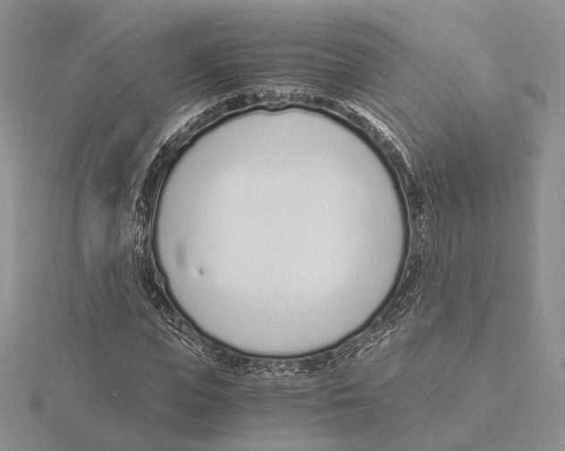 X0000115640823200912081102