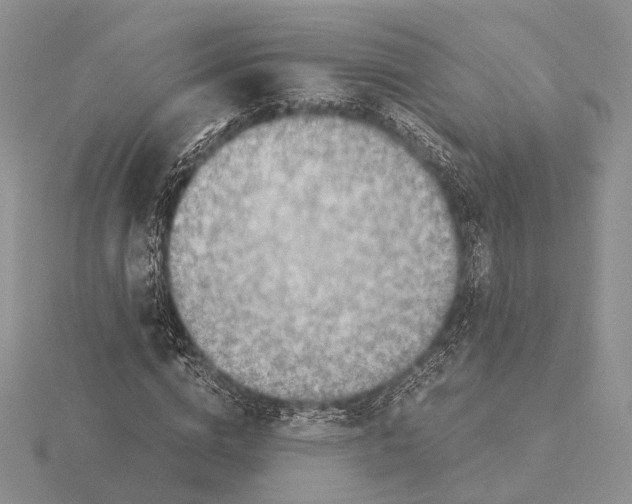 X0000115640824200912081102
