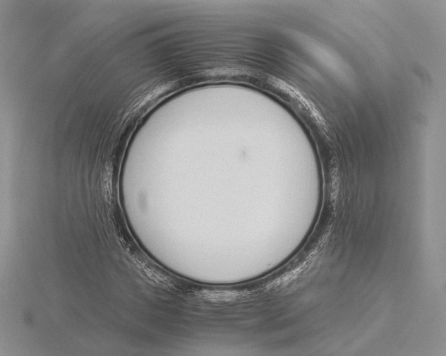 X0000115640825200912081102
