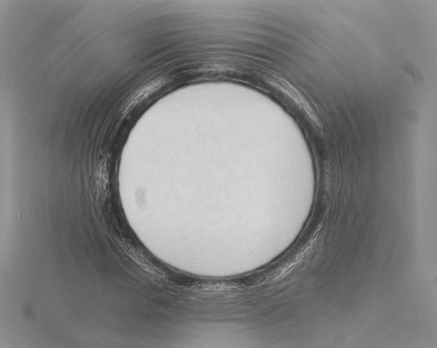 X0000115640826200912081102