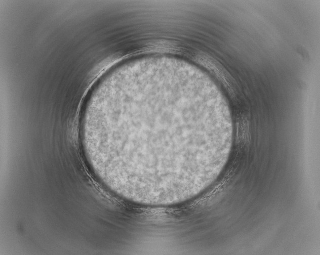 X0000115640828200912081102