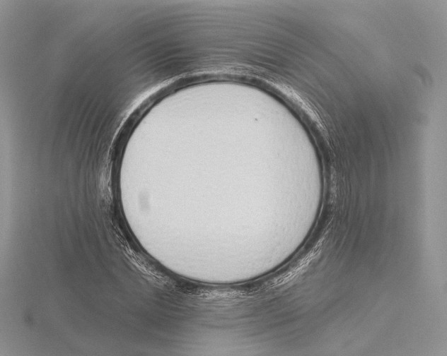 X0000115640830200912081102