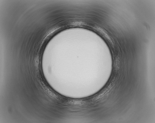 X0000115640831200912081102