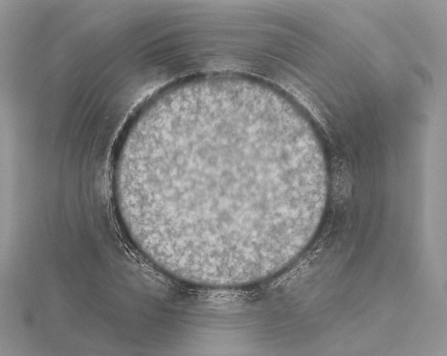 X0000115640832200912081102