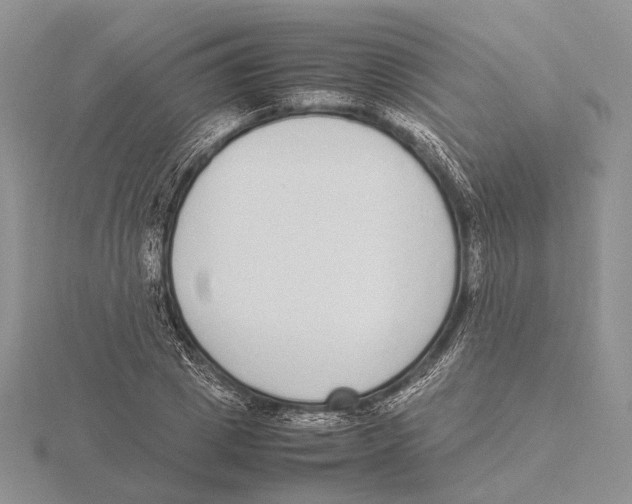 X0000115640833200912081102