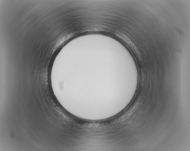 X0000115640834200912081102