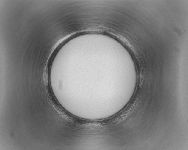 X0000115640838200912081102