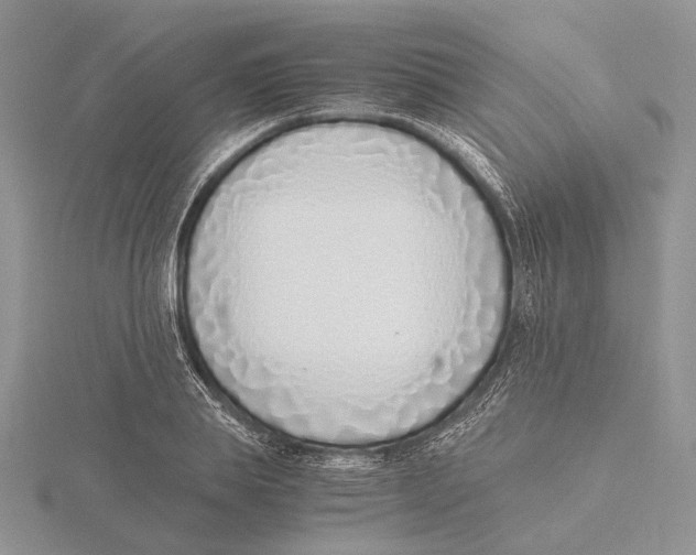 X0000115640839200912081102