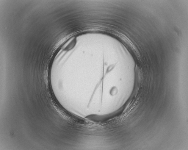 X0000115640842200912081102