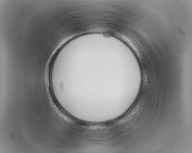 X0000115640843200912081102