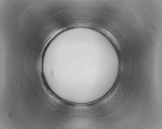 X0000115640844200912081102