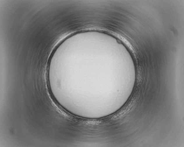 X0000115640847200912081103