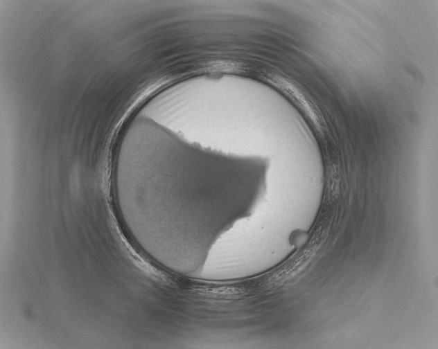 X0000115640851200912081103