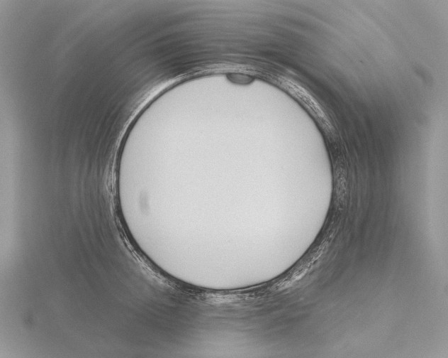 X0000115640852200912081103