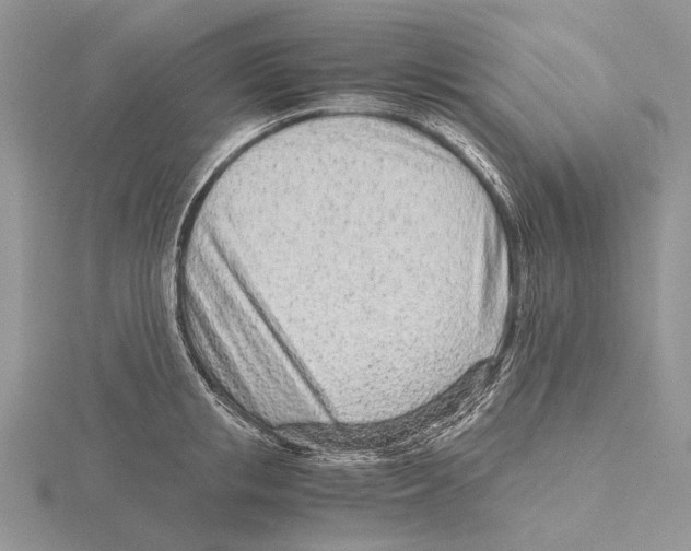 X0000115640853200912081103